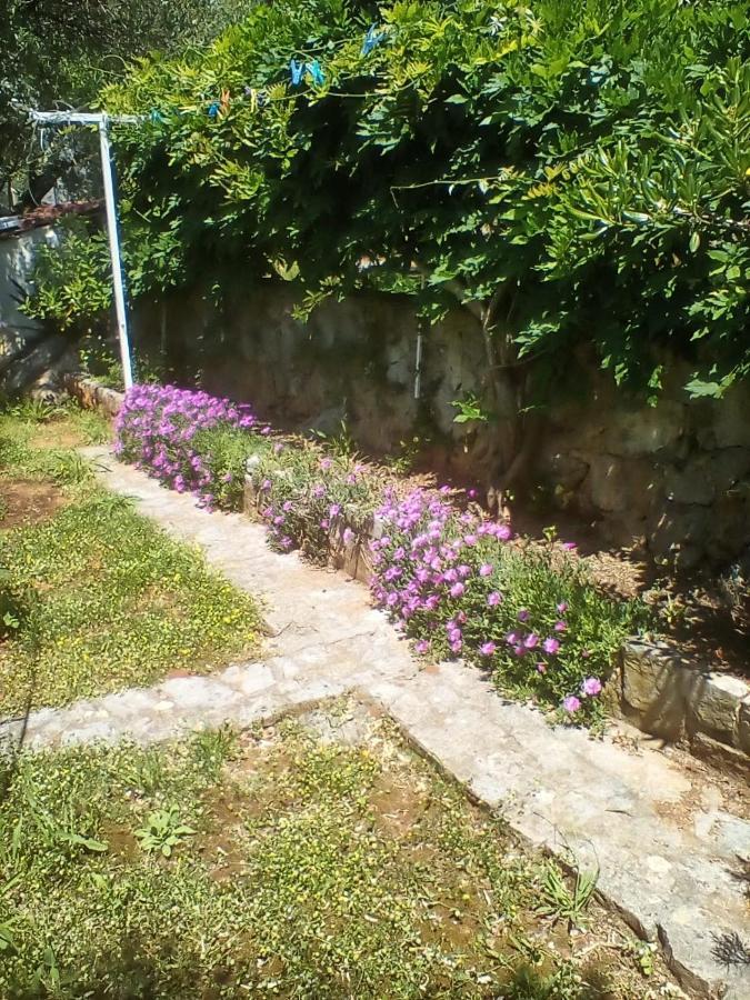 Apartman-Maja-Krk Krk Town Exteriör bild